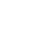 Evolution games at True Flip Casino